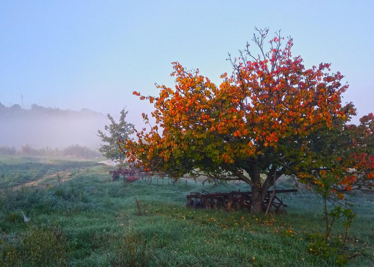 Agriturismo Le Canterie Radicondoli Экстерьер фото