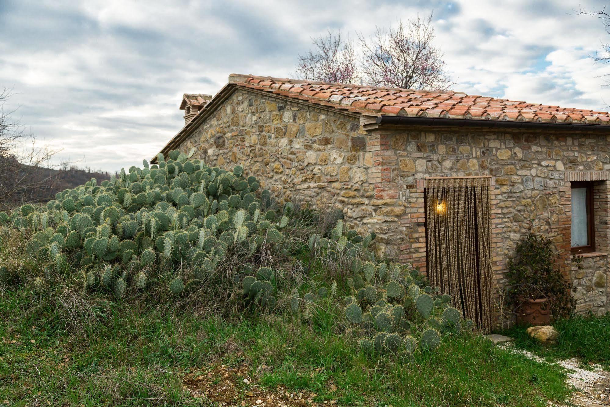 Agriturismo Le Canterie Radicondoli Экстерьер фото